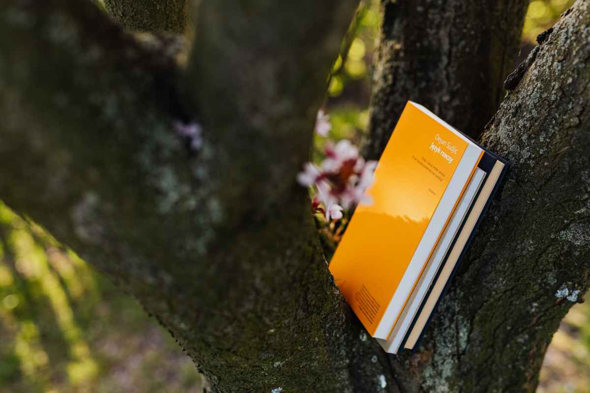 books in tree crotch on sunny spring day